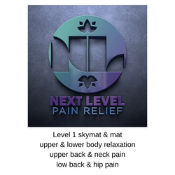 Next Level Pain Relief Level 1 online home-study course artwork