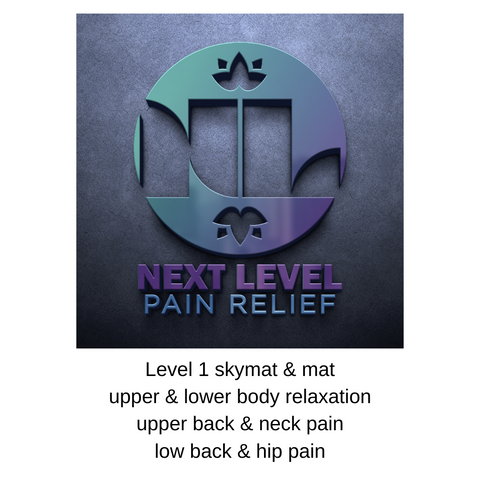 Next Level Pain Relief Level 1 online home-study course artwork